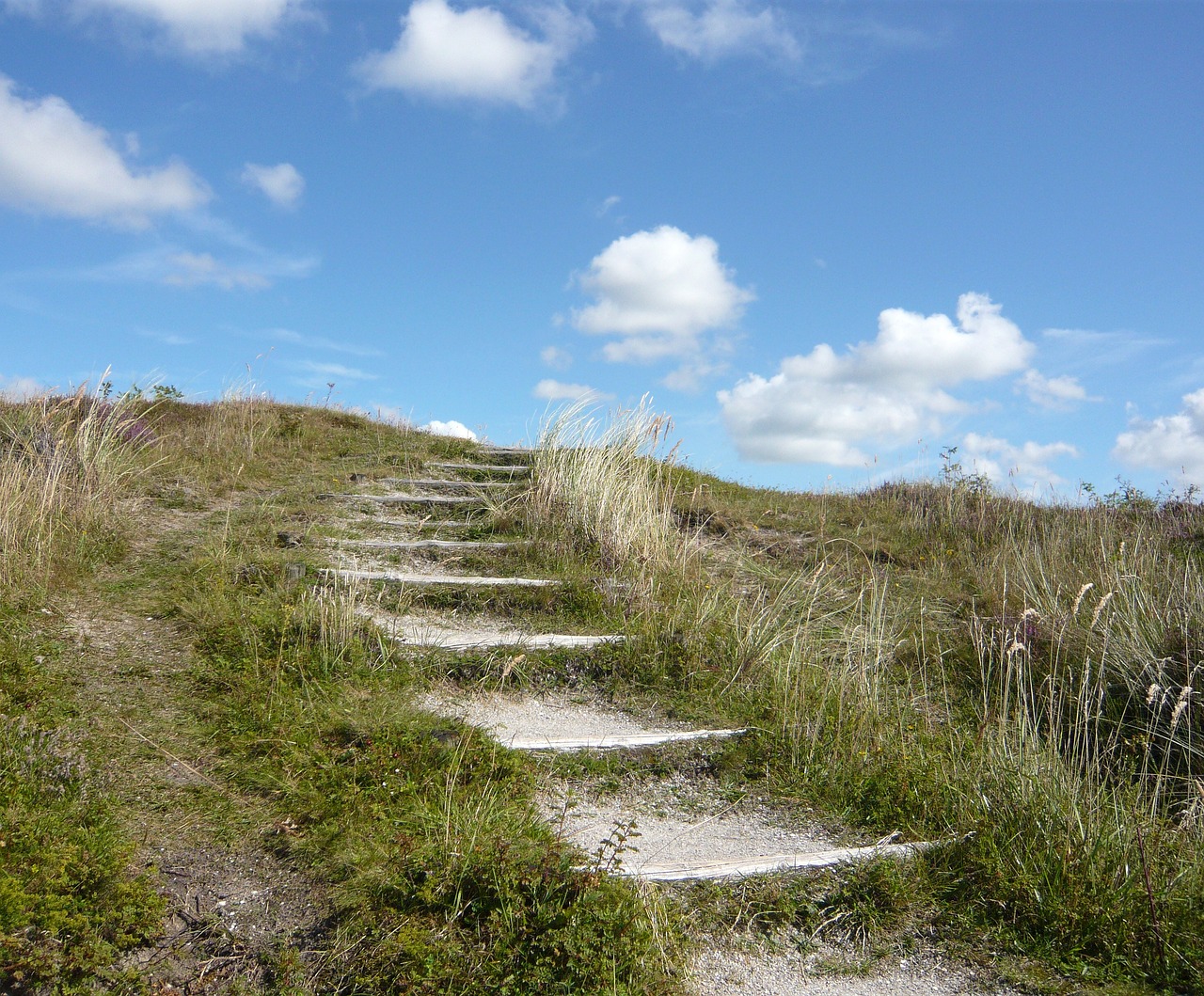 Guiding steps up a hill  to blue sky and clouds