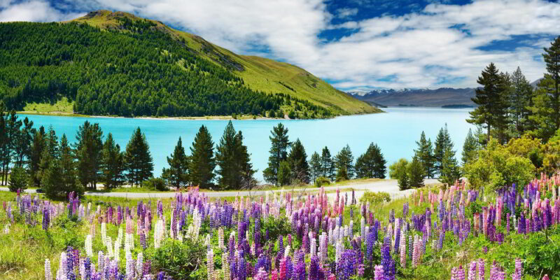 Beautiful crystal blue river of water in the mountains with trees and majestic flowers on the hill side.