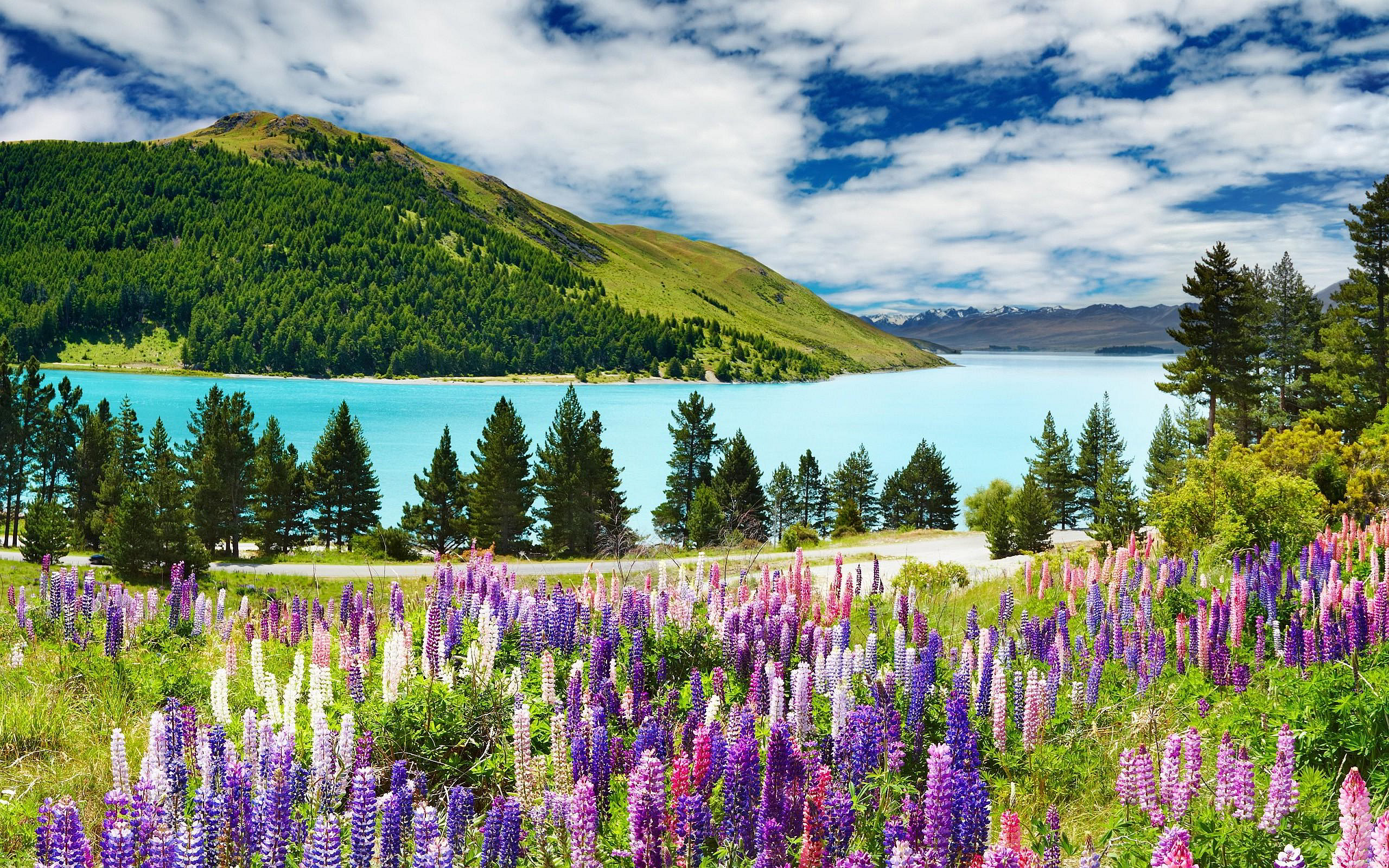 Clear blue lake with green hills, flowers, trees, and partly cloudy skies